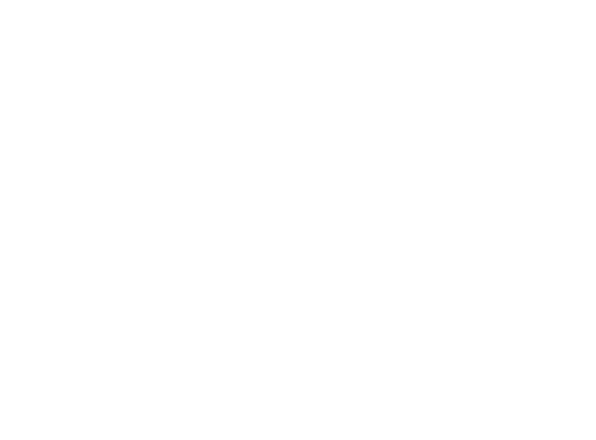 Warbird